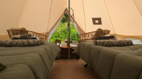 Bell-tent Zuid